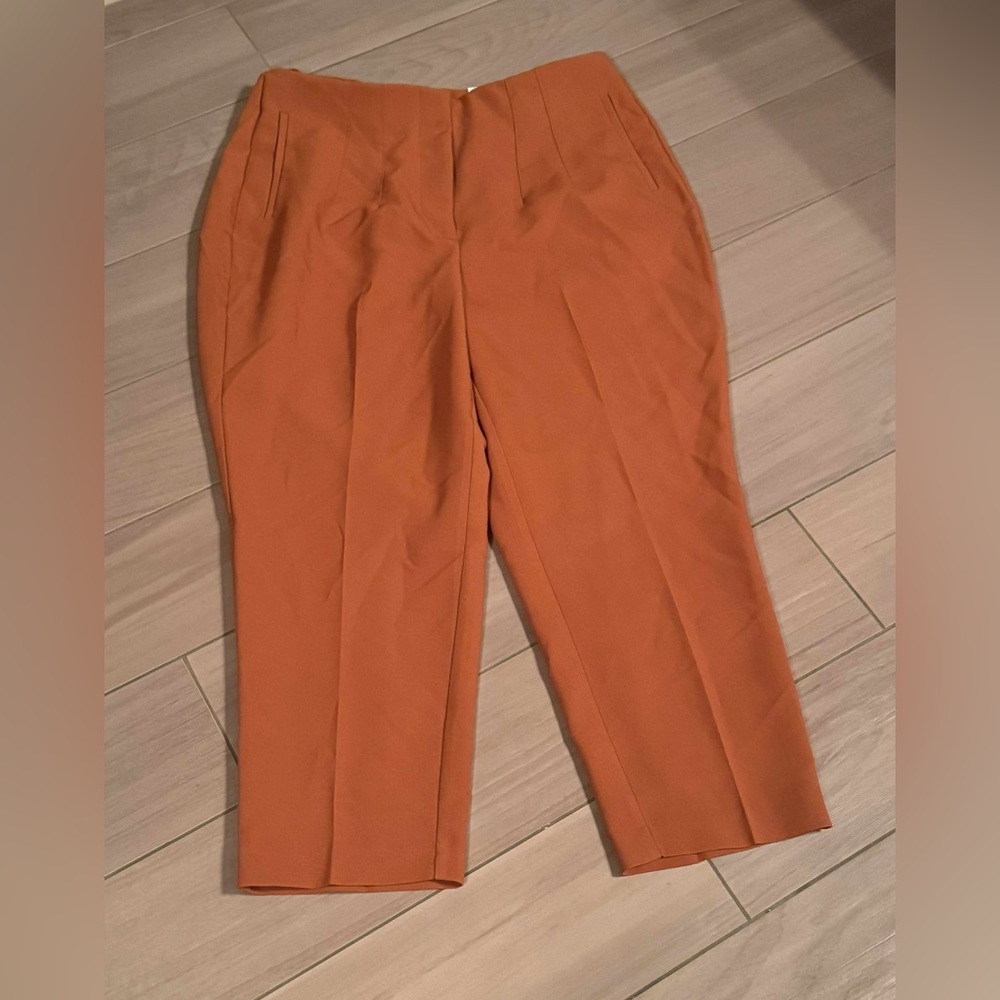 Nine West Women's Classic orange Chinos size 16P NWT